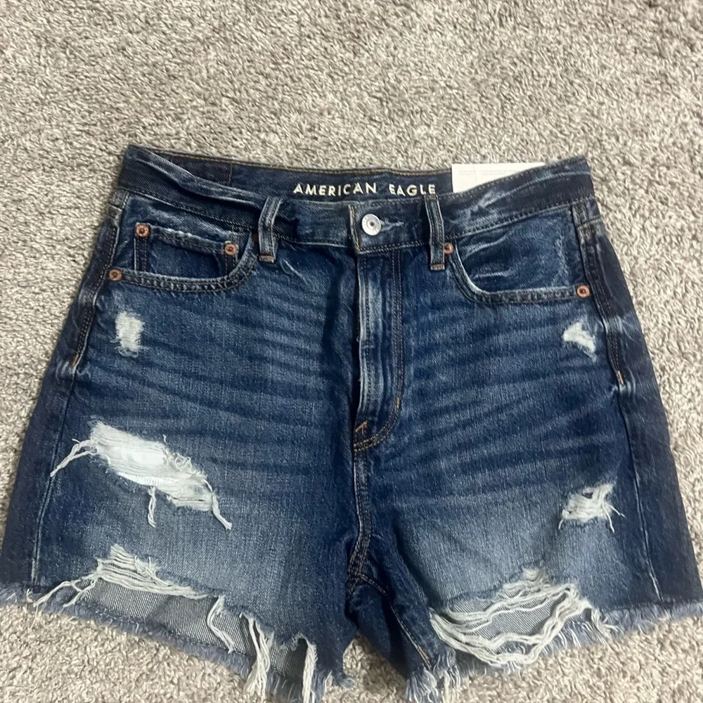 AE 90s Boyfriend Shorts - Picture 2 of 12